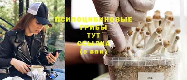 первитин Армянск