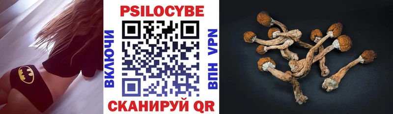 закладка  Меленки  Галлюциногенные грибы мухоморы 